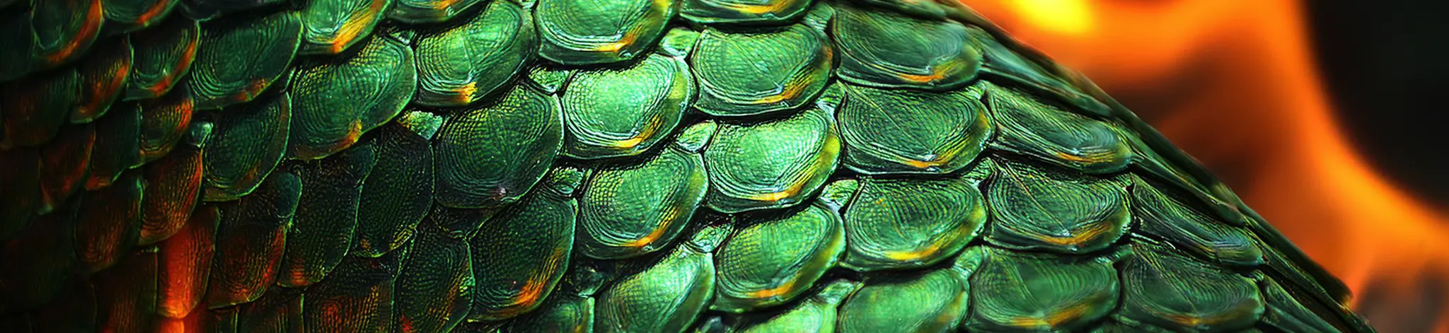 Dragon Flames Banner